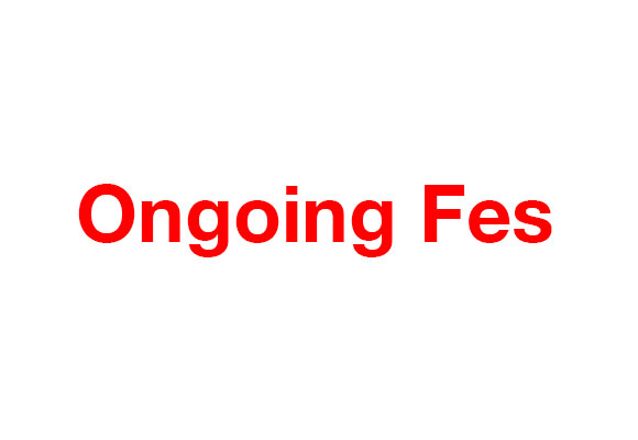 ongoingfes_DM